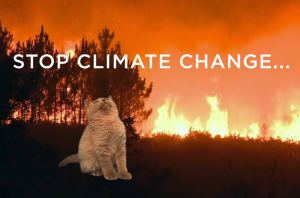 climate_march_cats